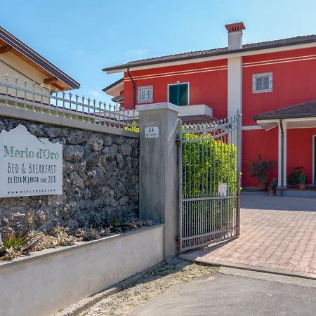 Merlo D'Oro Καρράρα Εξωτερικό φωτογραφία